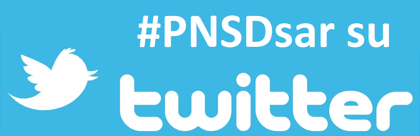 Pulsante Twitter #PNSDsar